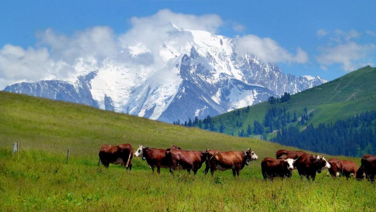 꽁블루 Coeur Des Alpes 아파트 외부 사진